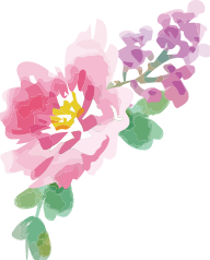 pansy-consult-01